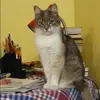 Отзыв от Серафима Котова
